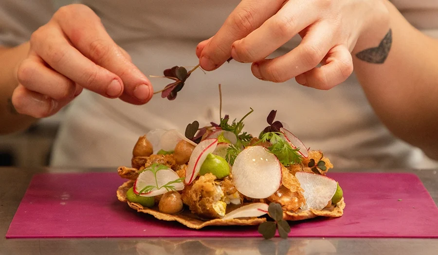 The 9 Best Restaurants in Roma Norte, CDMX - Mexico city