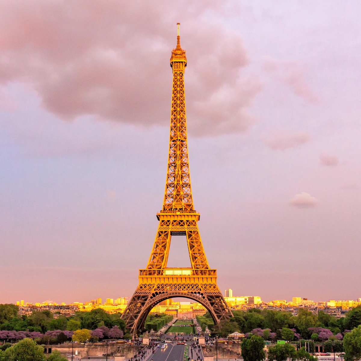 Paris food tour destination image