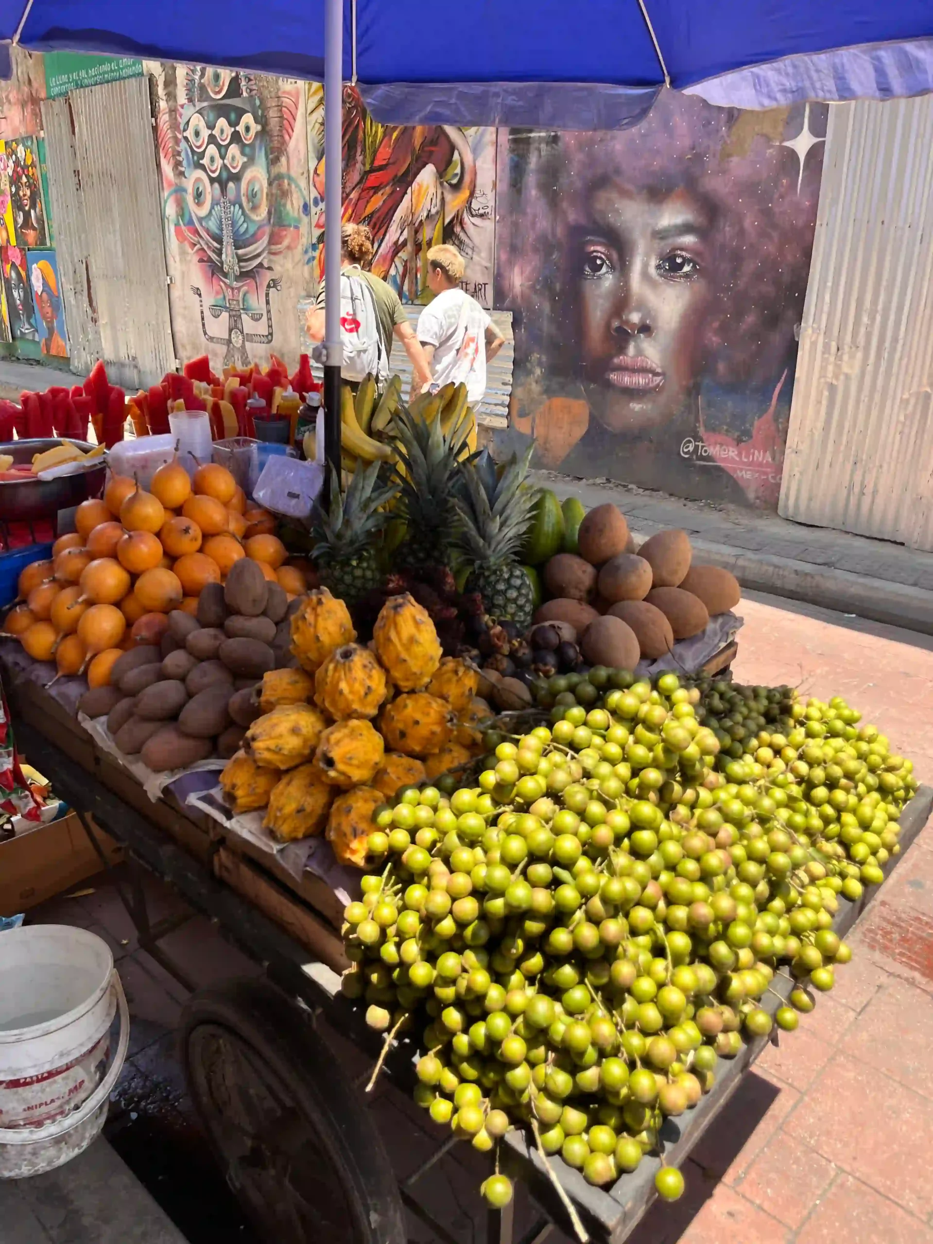 fruits in cartagena